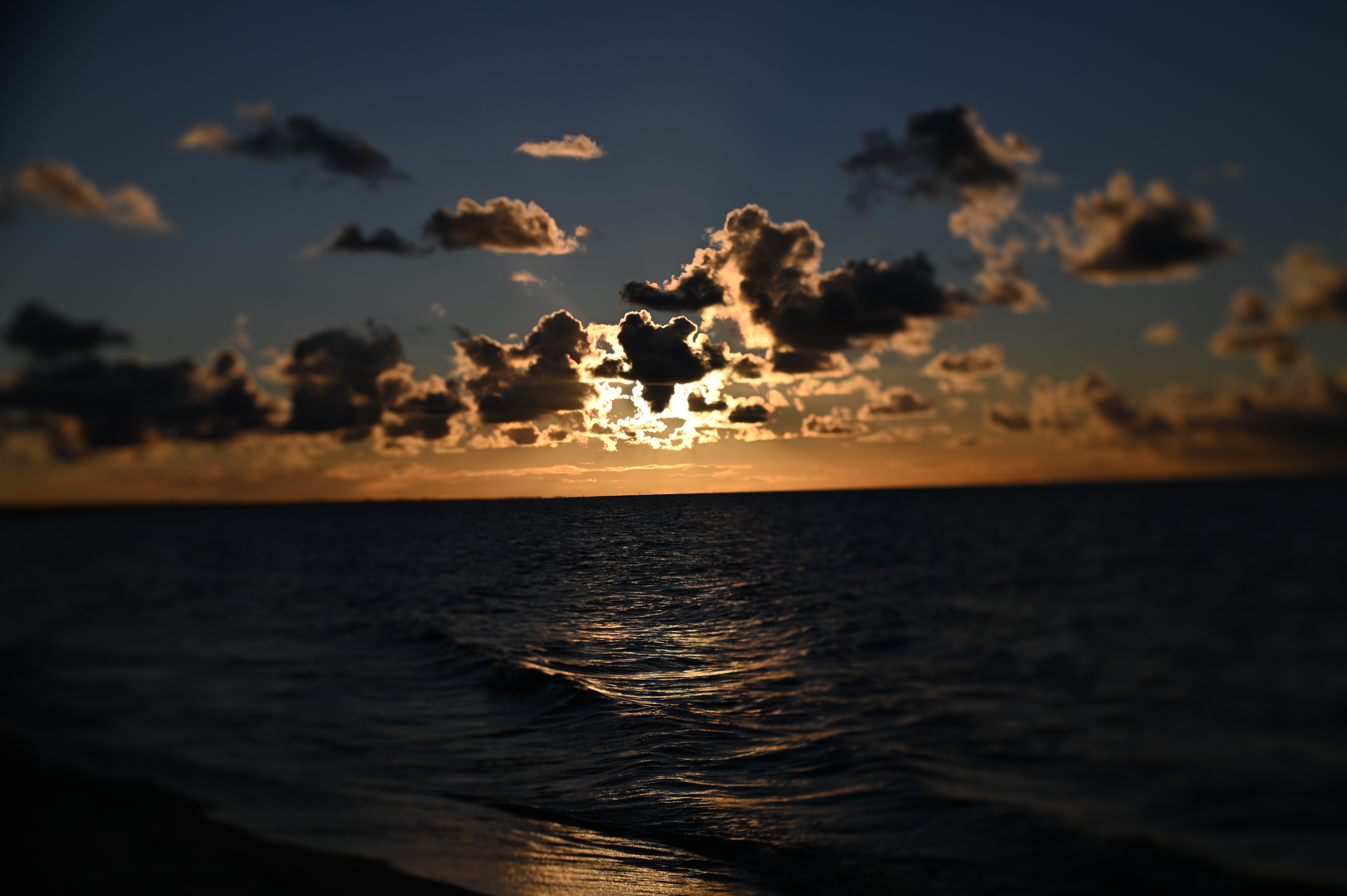 2025/10/18 - walk/DSC_0290.JPG